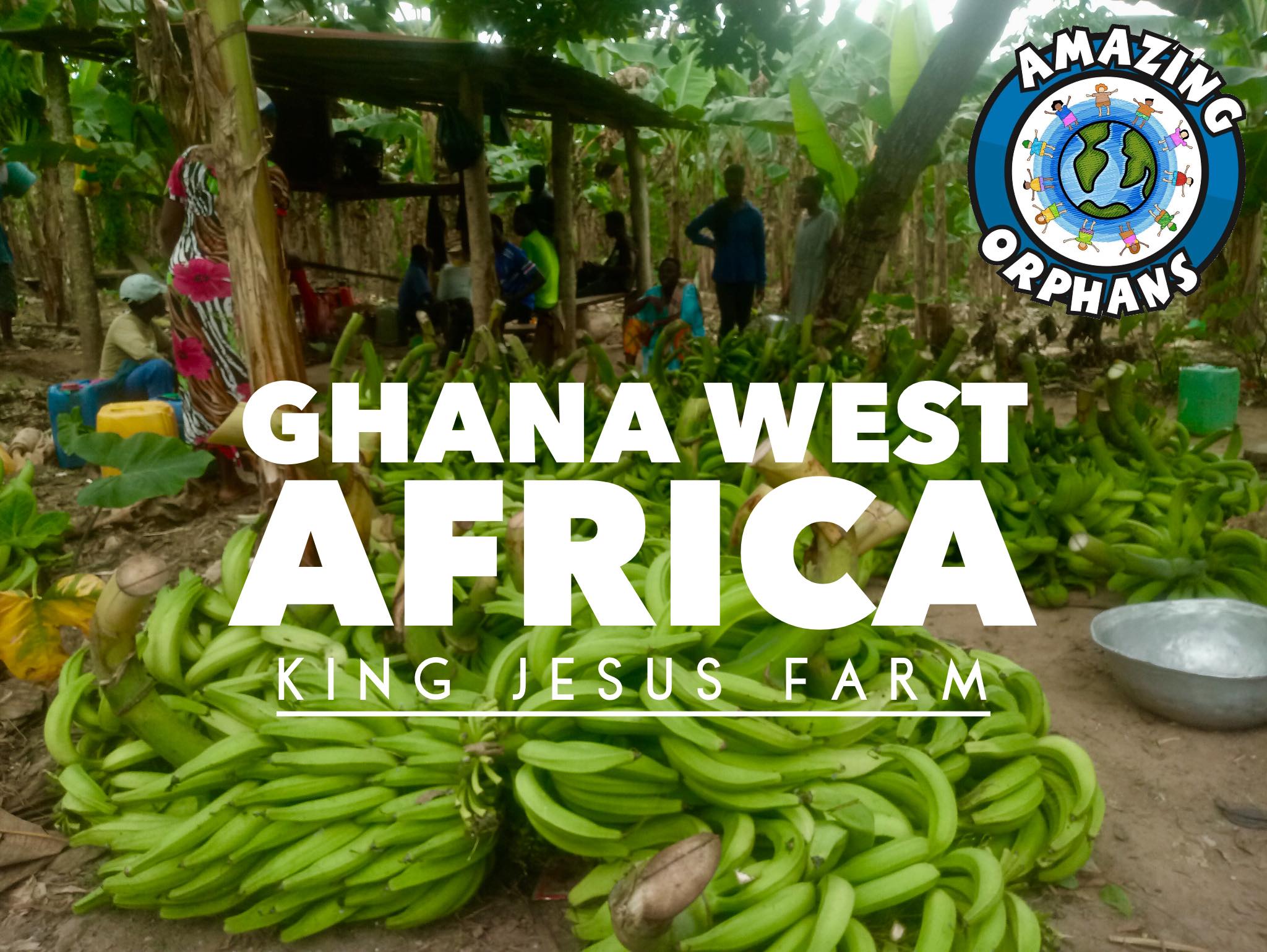 King Jesus Farm - Ghana